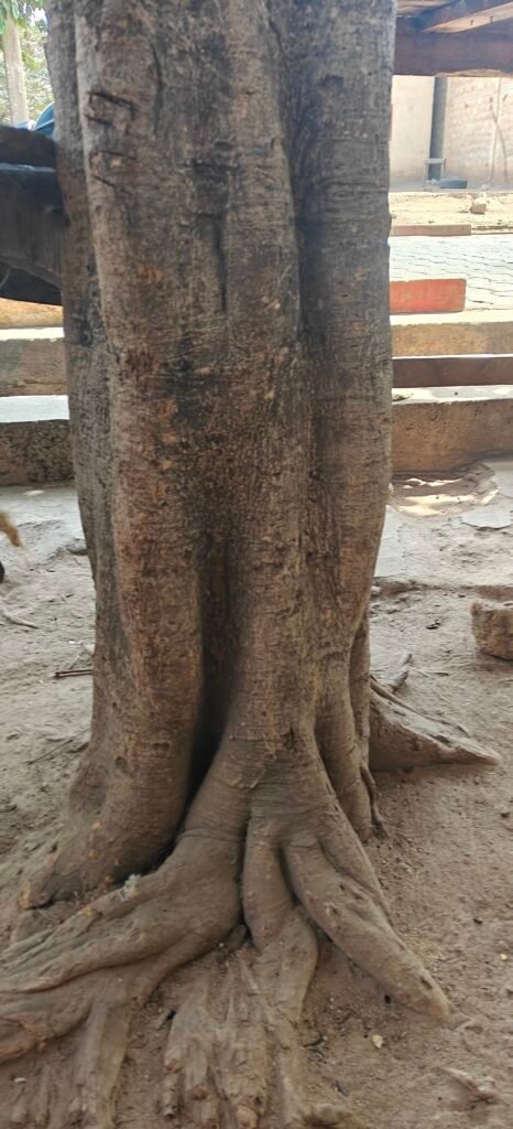 Parakou : Quand ceux qui ouvrent les portes sont les premiers jetés dehors