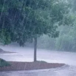 Saison pluvieuse : Inondations, foudre, routes glissantes… quelques bons réflexes à adopter